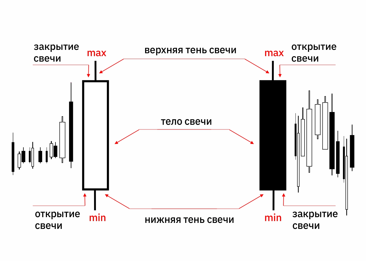 Медвежья свеча